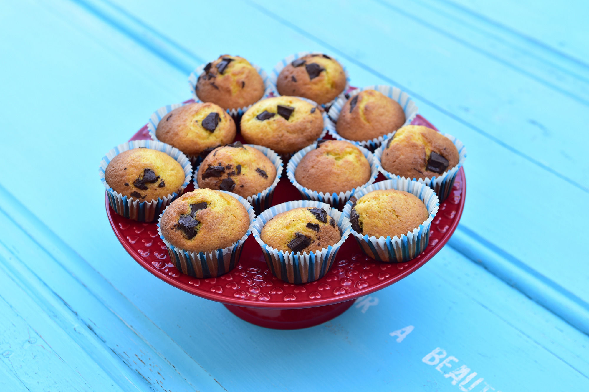 Фото Solar Egas Moniz Charming House & Local Experiences