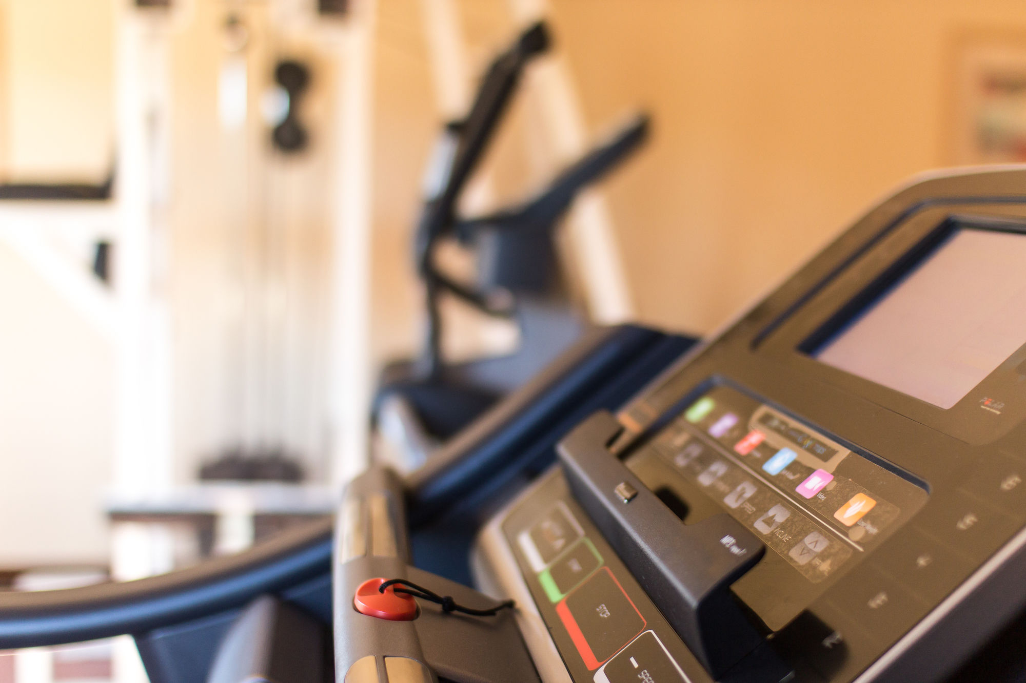 Фото Sedona Real Inn & Suites