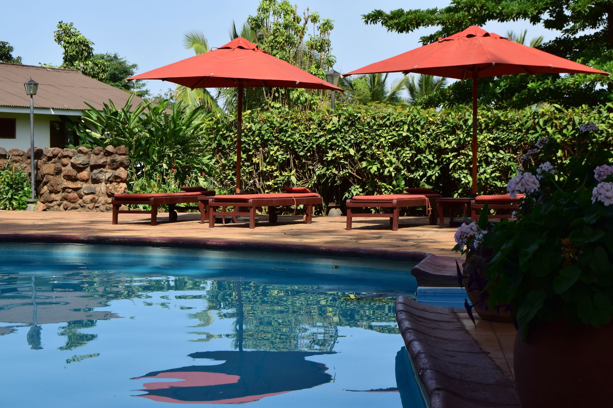 Фото Ameg Lodge Kilimanjaro