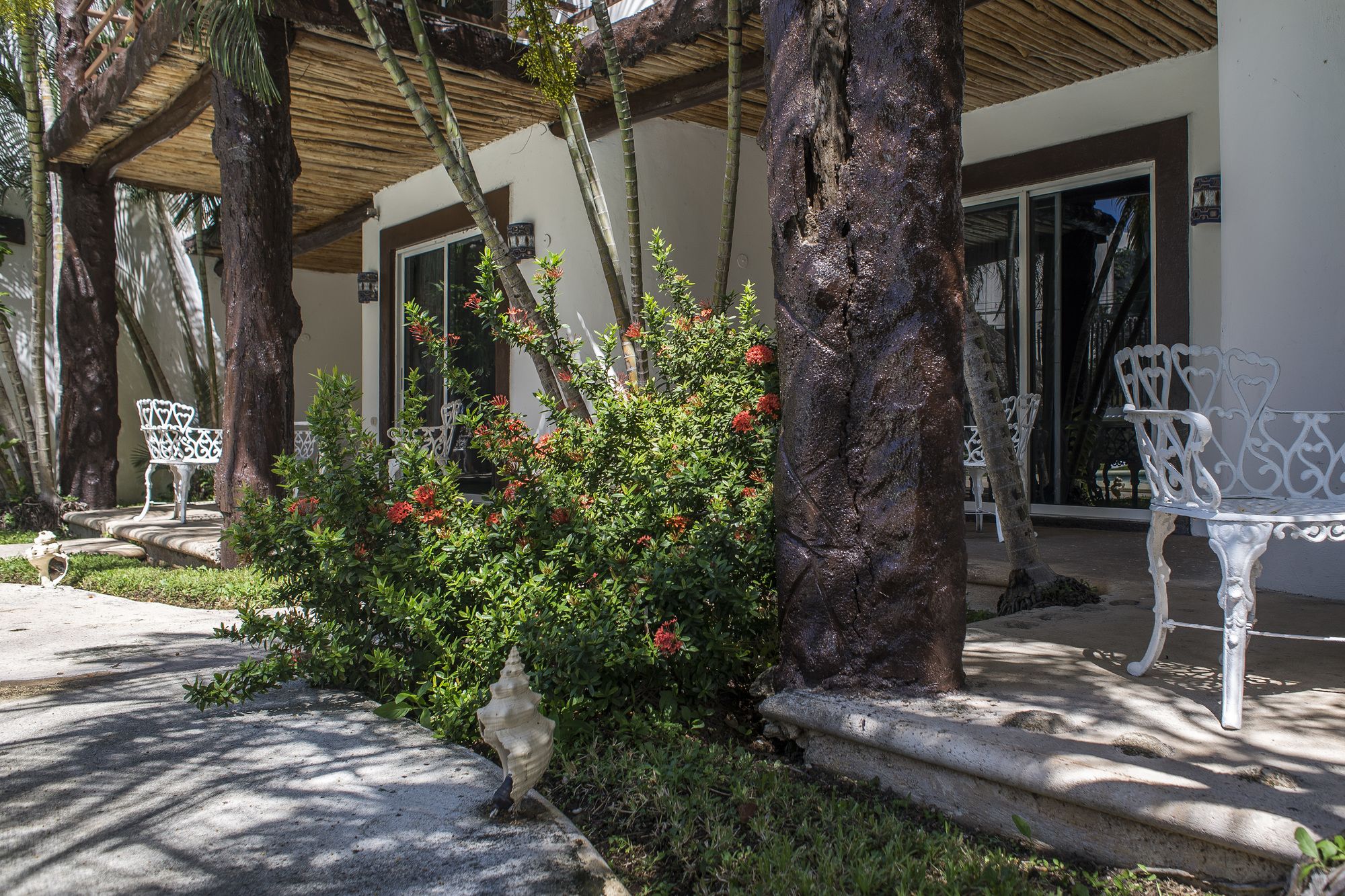 Фото Maya del Carmen