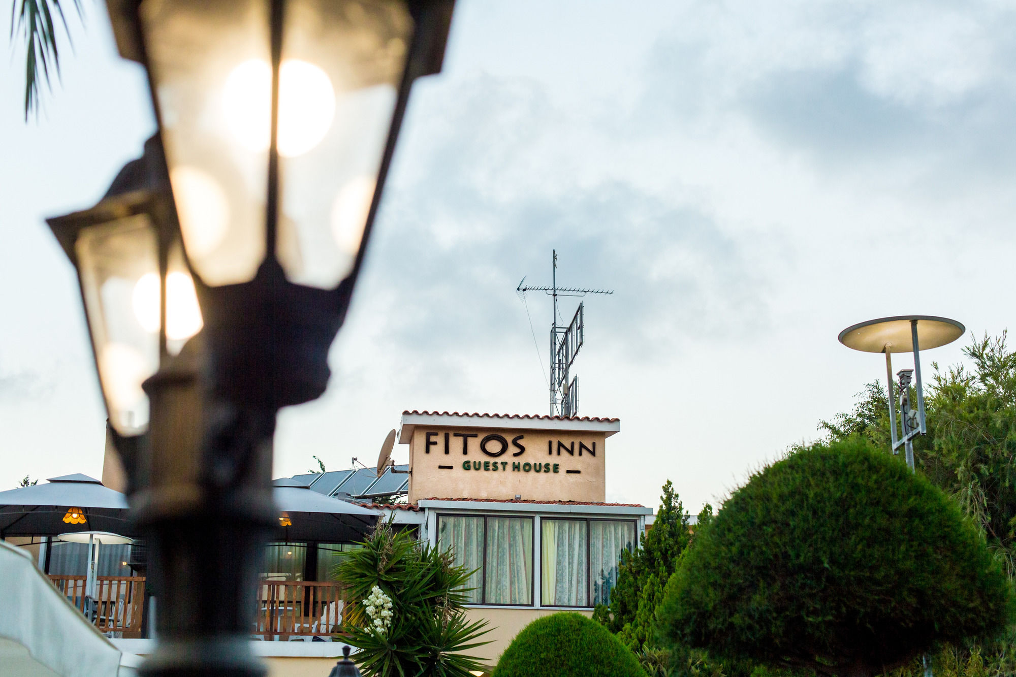 Фото Fitos Inn Guest House