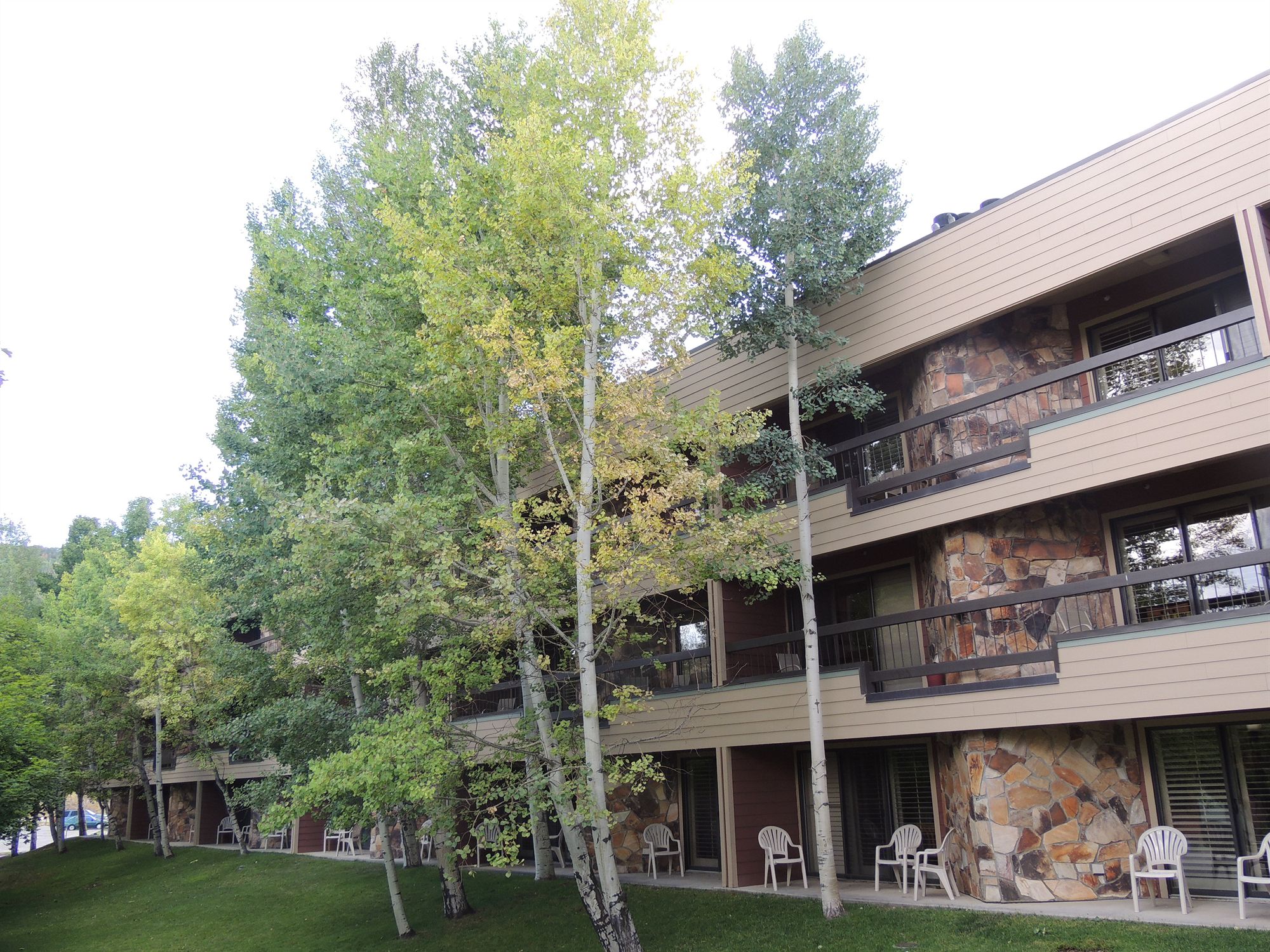 Фото Park Regency Resort