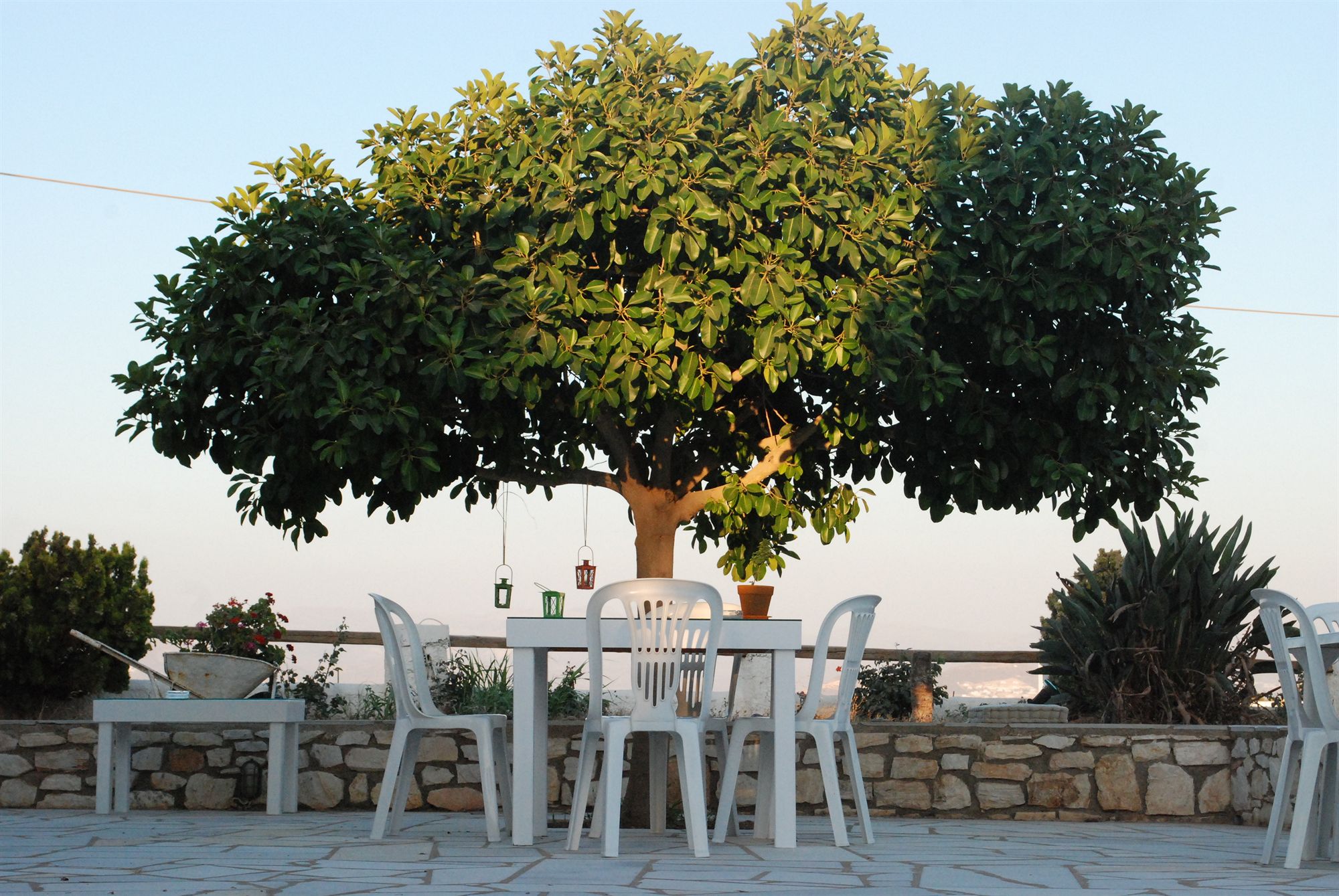 Фото Fyrogenis Palace Hotel - Apartments