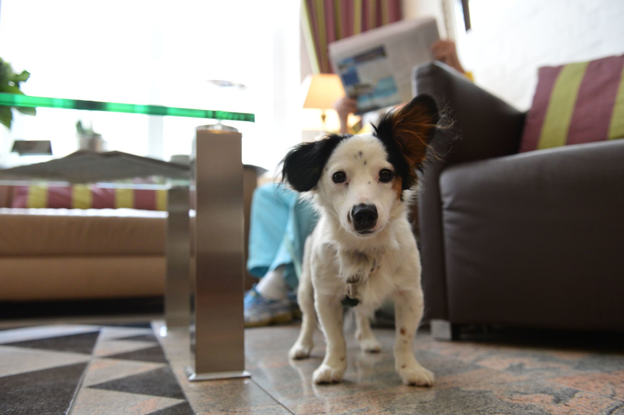 Фото Fruehlings Hotel