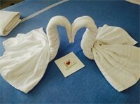 Фото Hotel Arlino