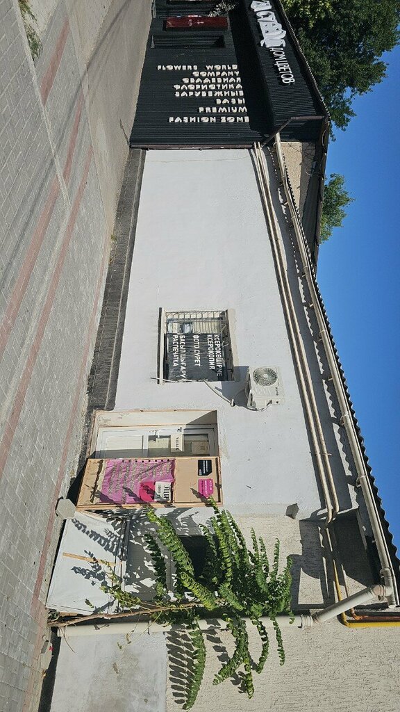 Copy center Computer Services, Chimkent, photo