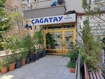 Cagataylar Automotive (Ankara Province, Yenimahalle, Demetevler Mah., 380. Cad., 27C) ، إنتاج قطع غيار السيارات