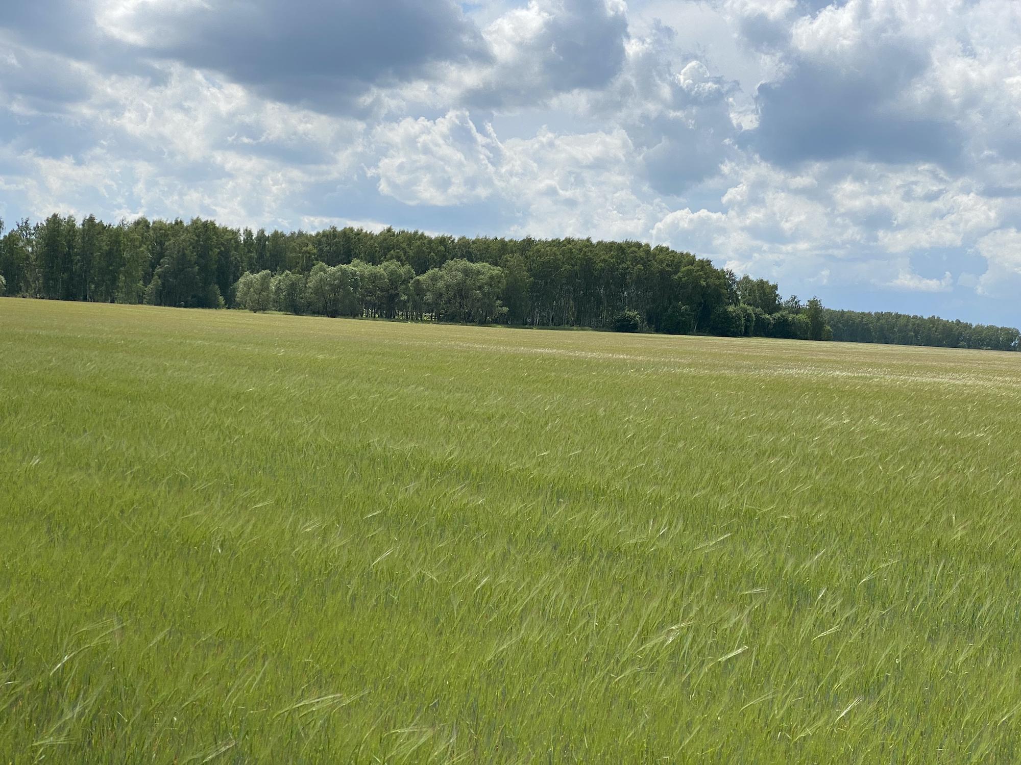 Фото Усадьба Ягодное