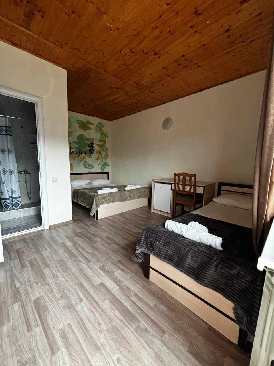 Фото Тропики