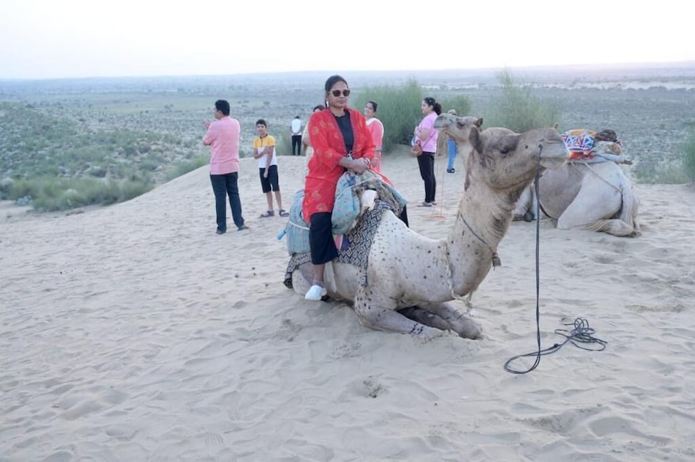 Фото Gangaur Desert Resort