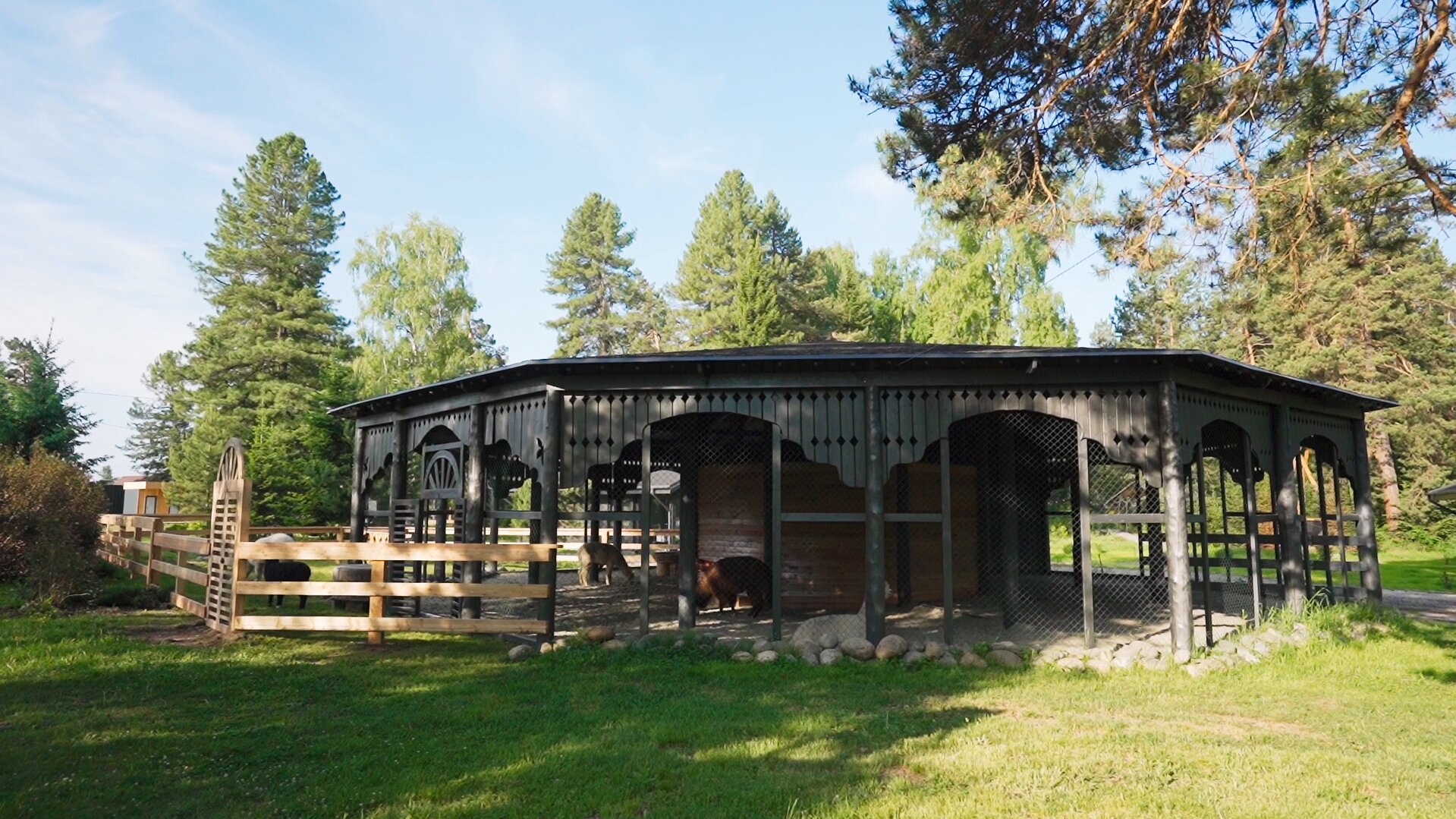 Фото Чага Дом