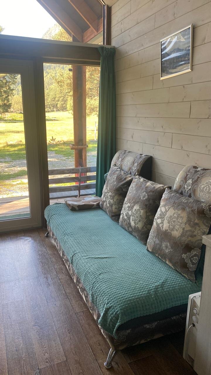 Фото Лесной кот