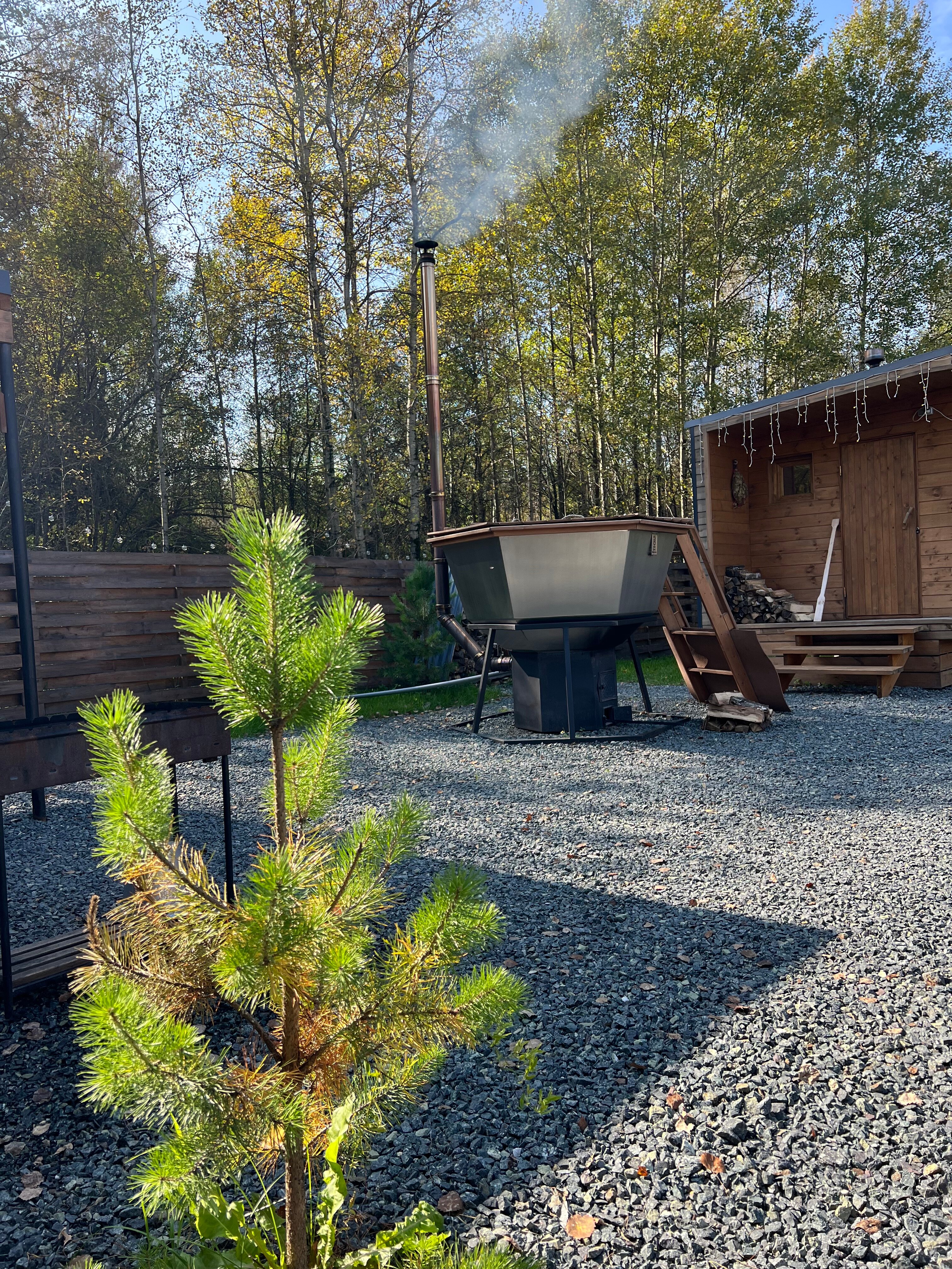 Фото Шёпот леса