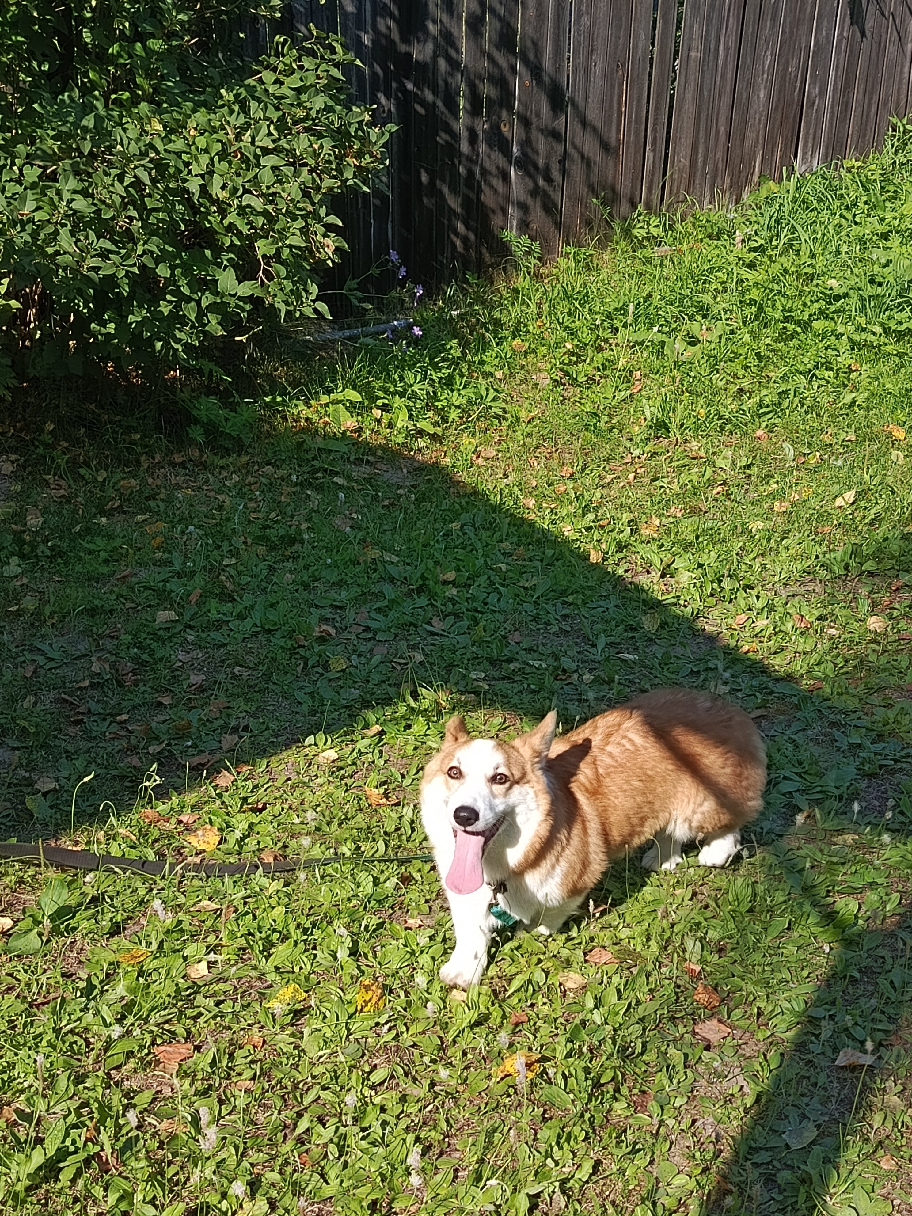 Фото Катунский утёс