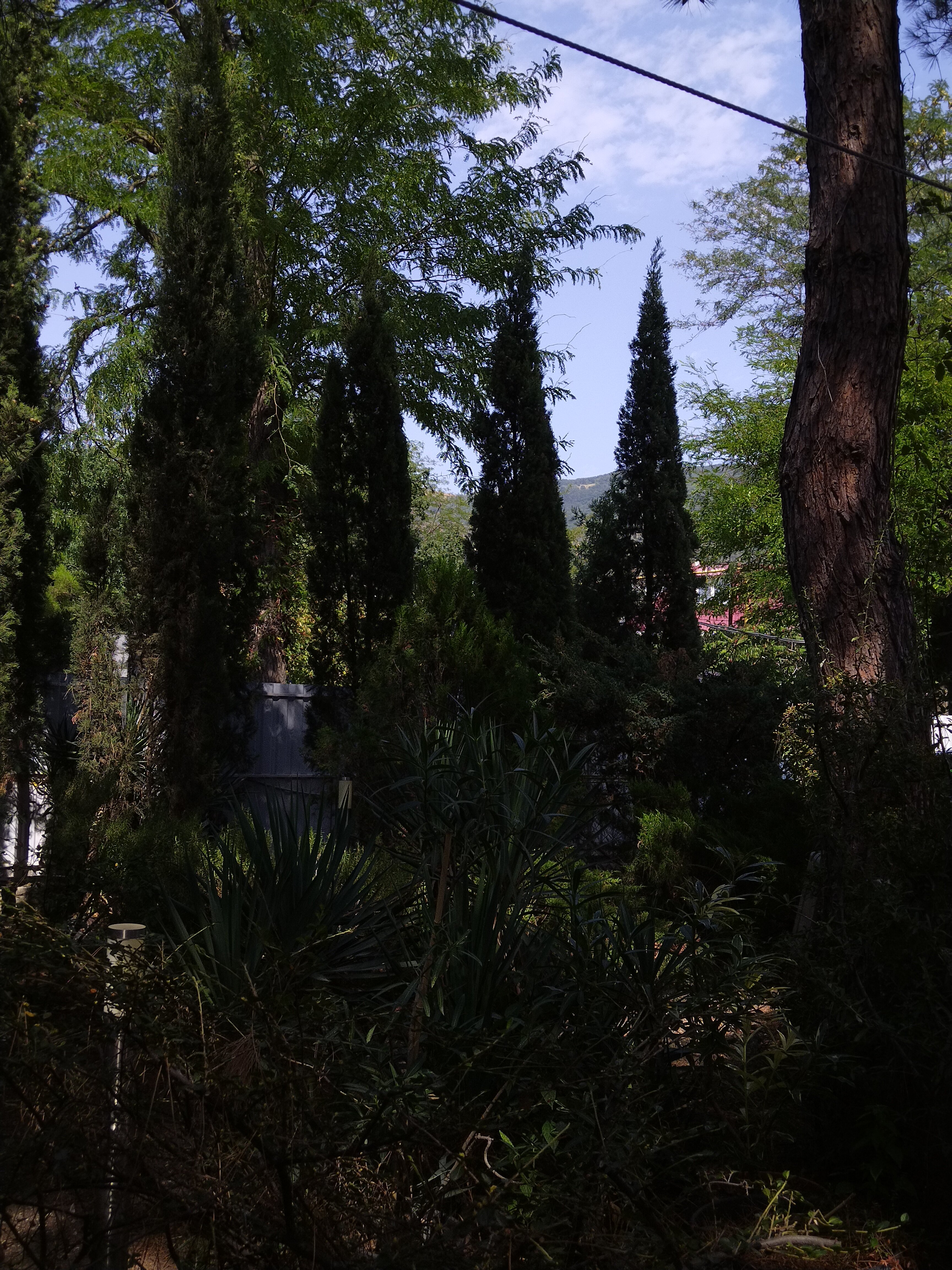 Фото Рассвет