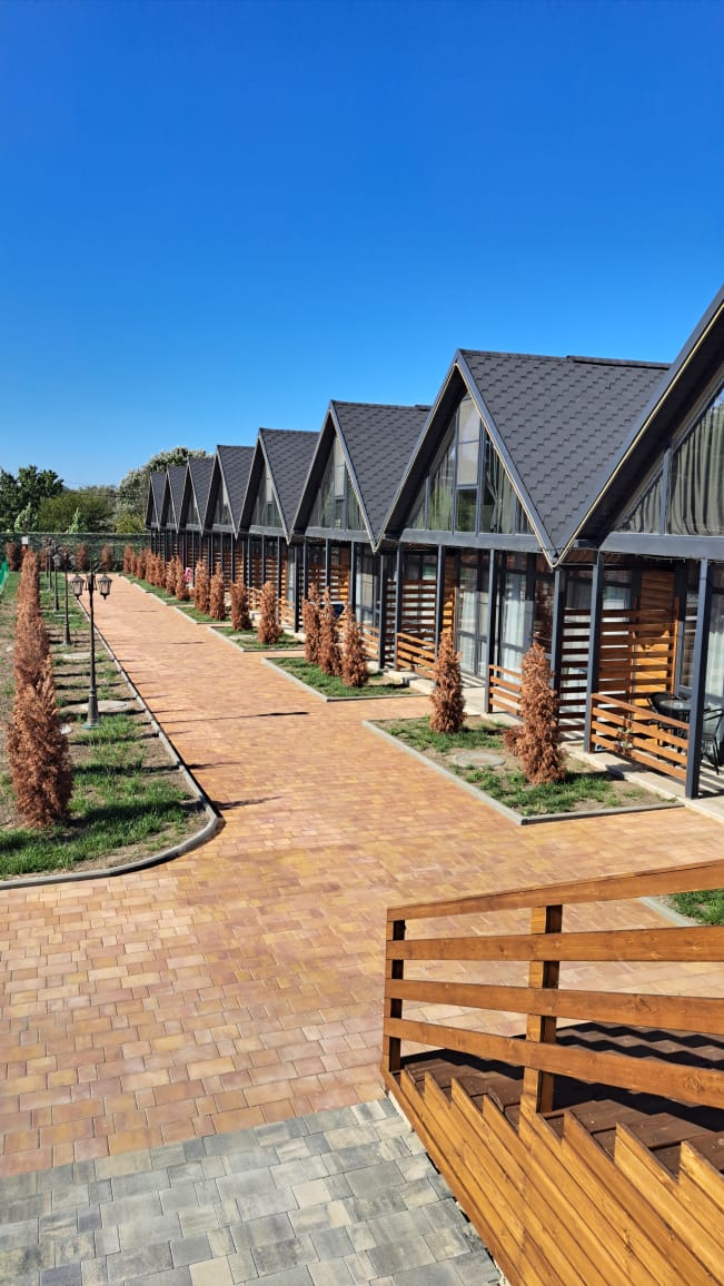 Фото Зеленый двор