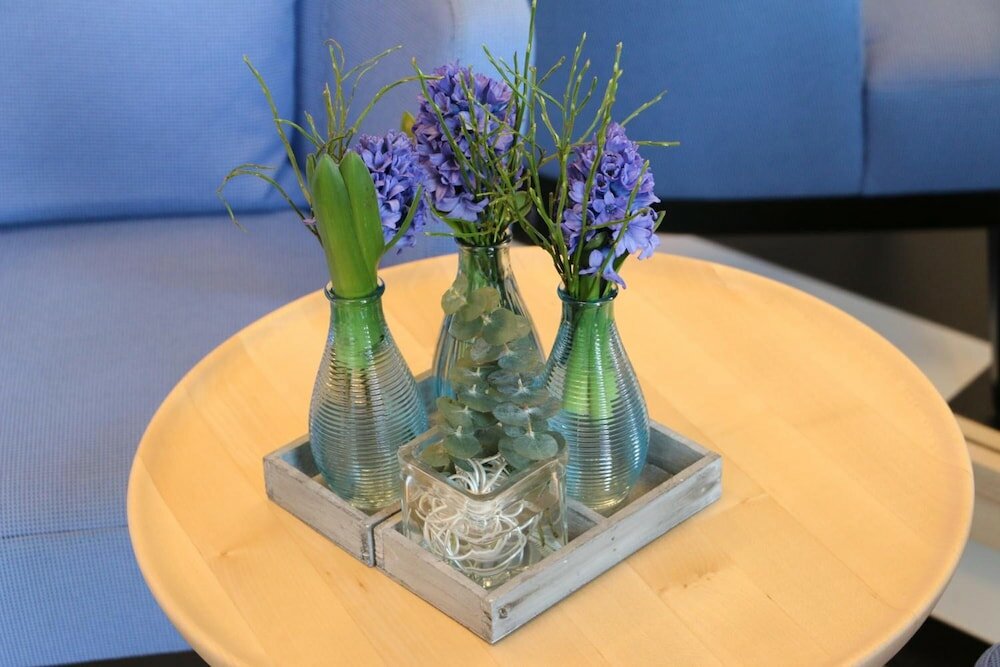 Фото Ibb Blue Hotel Paderborn