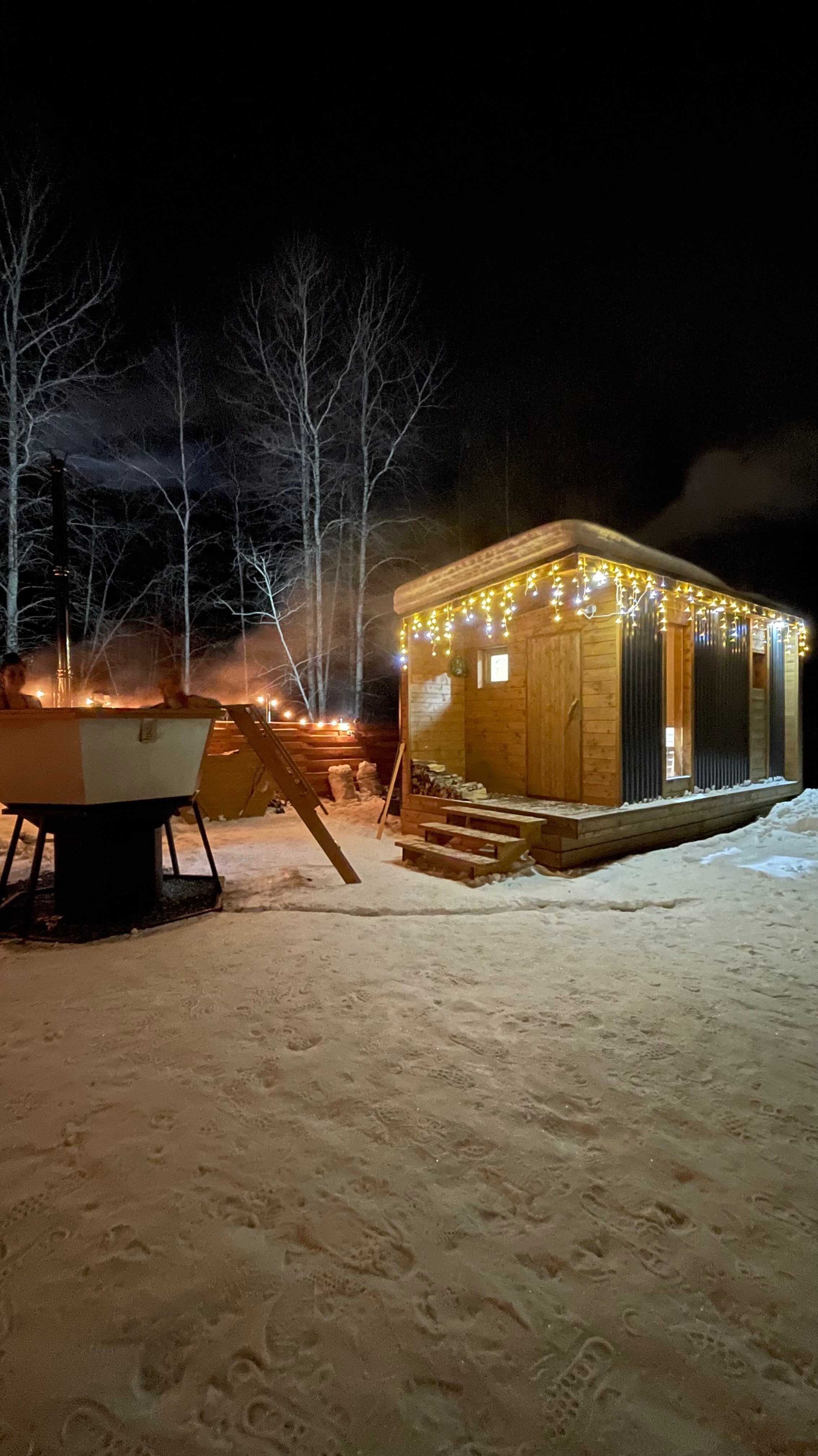 Фото Шёпот леса