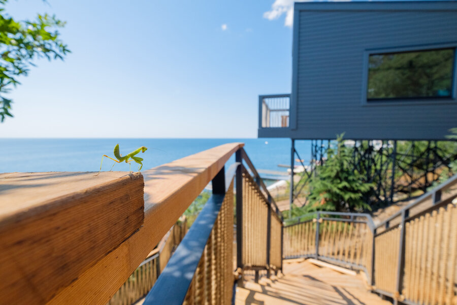 Фото Бунгало Билл