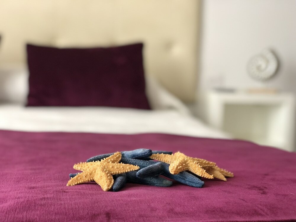 Фото Hotel Oceano Centro