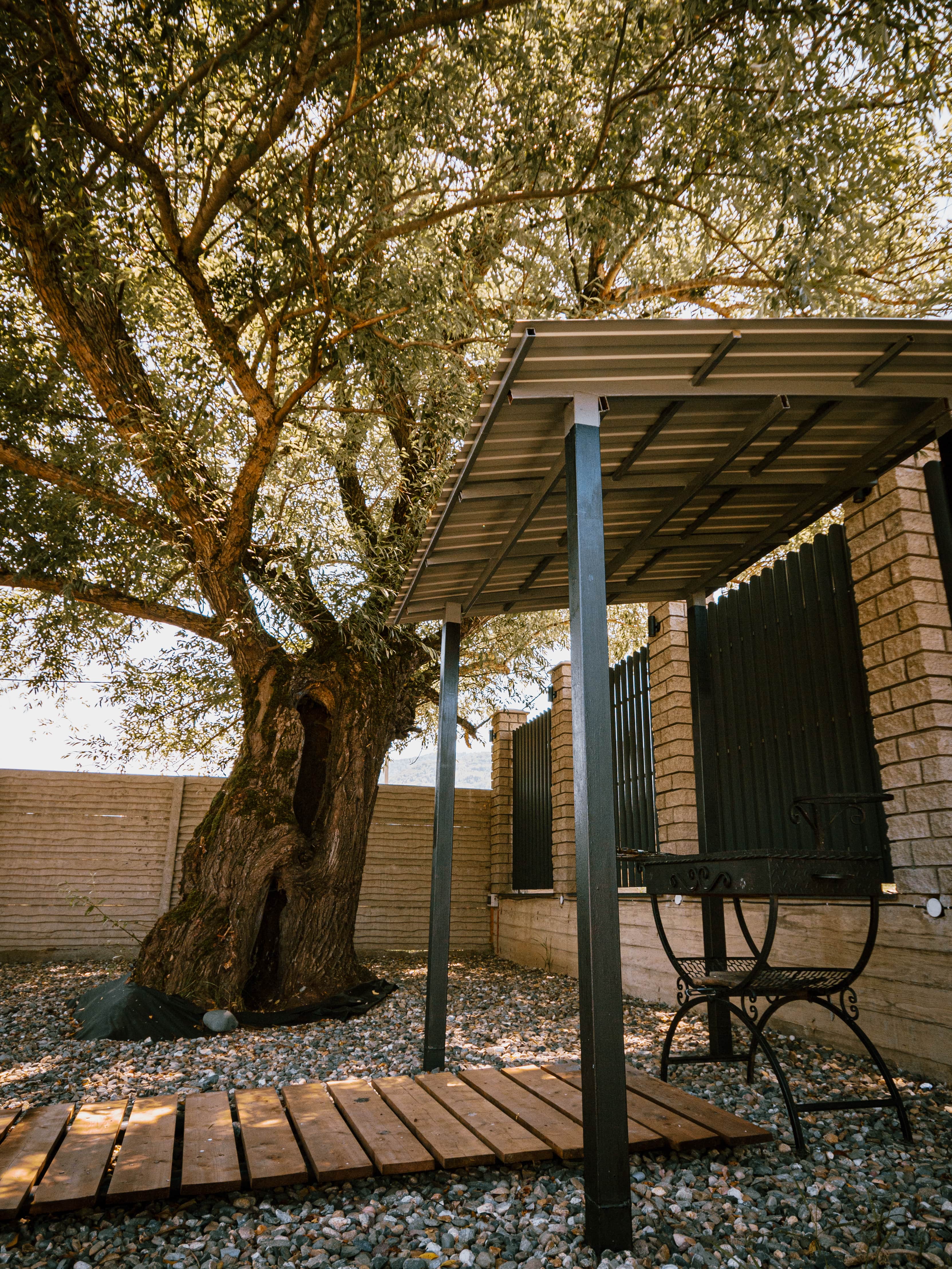 Фото Среда Обитания