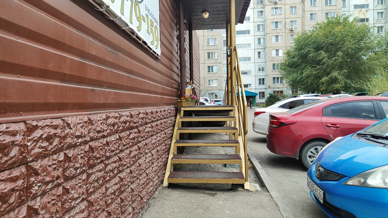 Фото Подсолнух