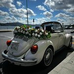 Rental Beetle Wedding Car (İstanbul, Atasehir, İçerenköy Mah., Doğan Bey Cad., 36), organization of events