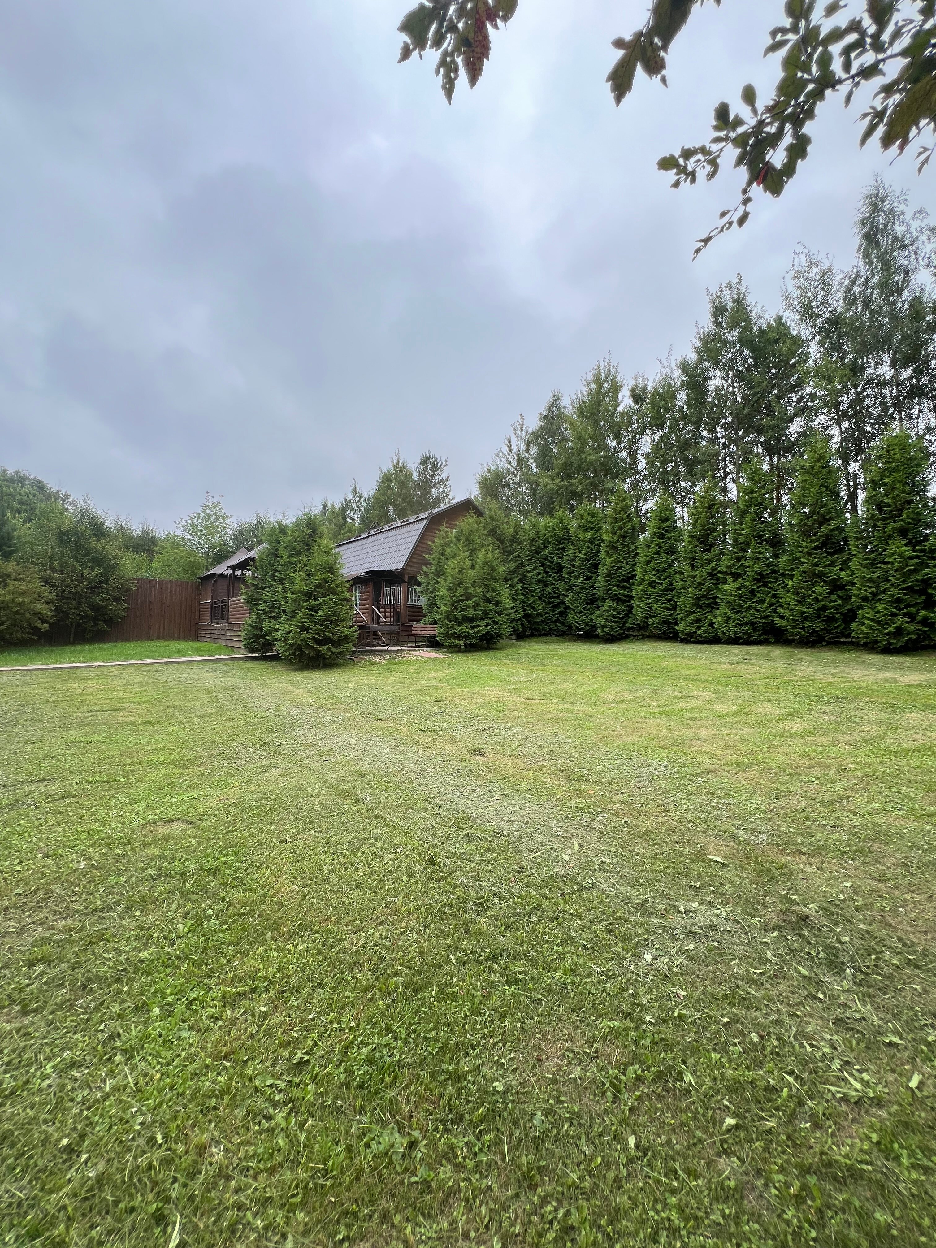 Фото Еду в гости