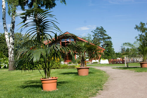 Внешний вид отеля Кантри Парк Отель & Club в Химках, фото 3