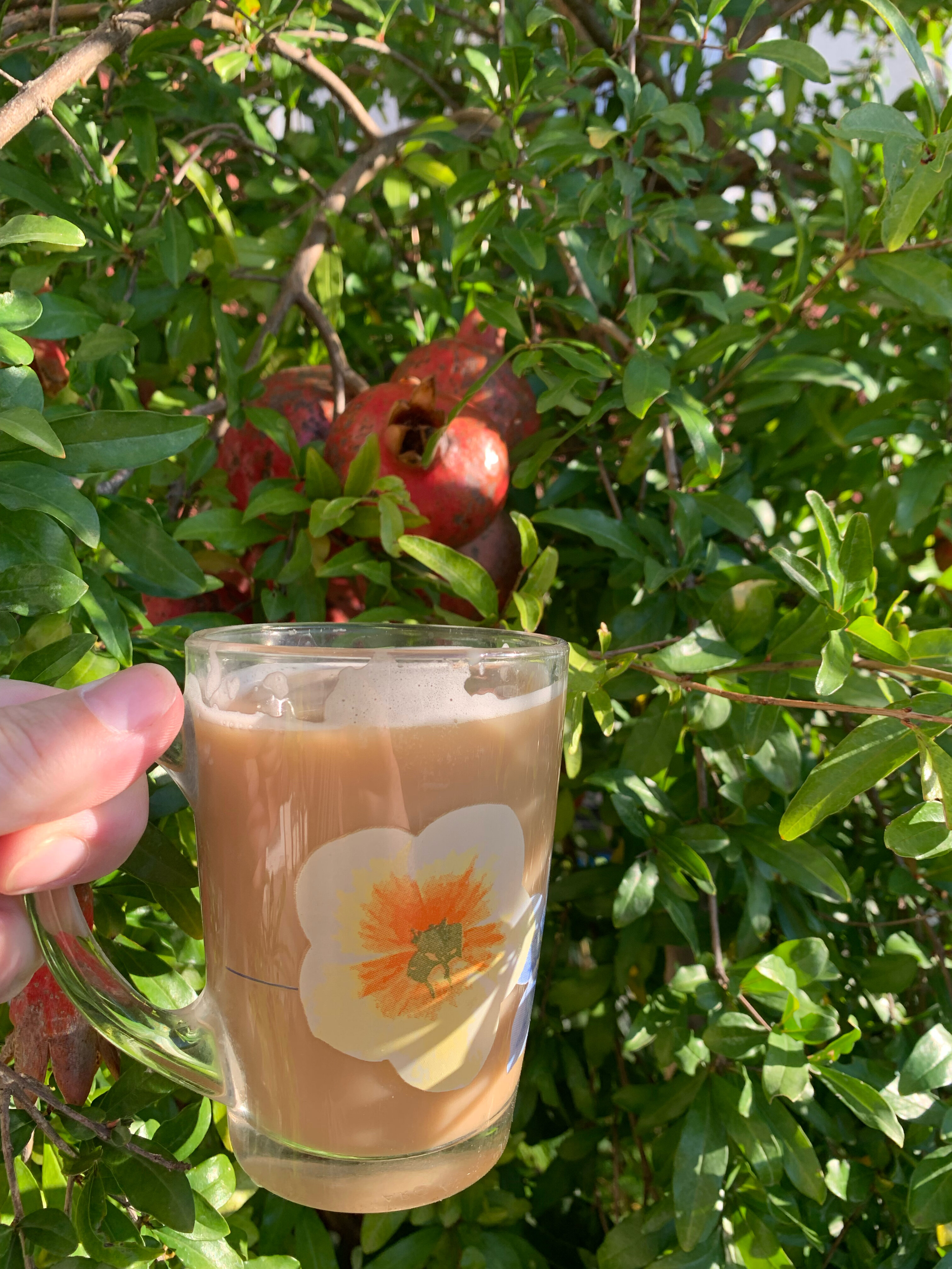 Фото Сингер