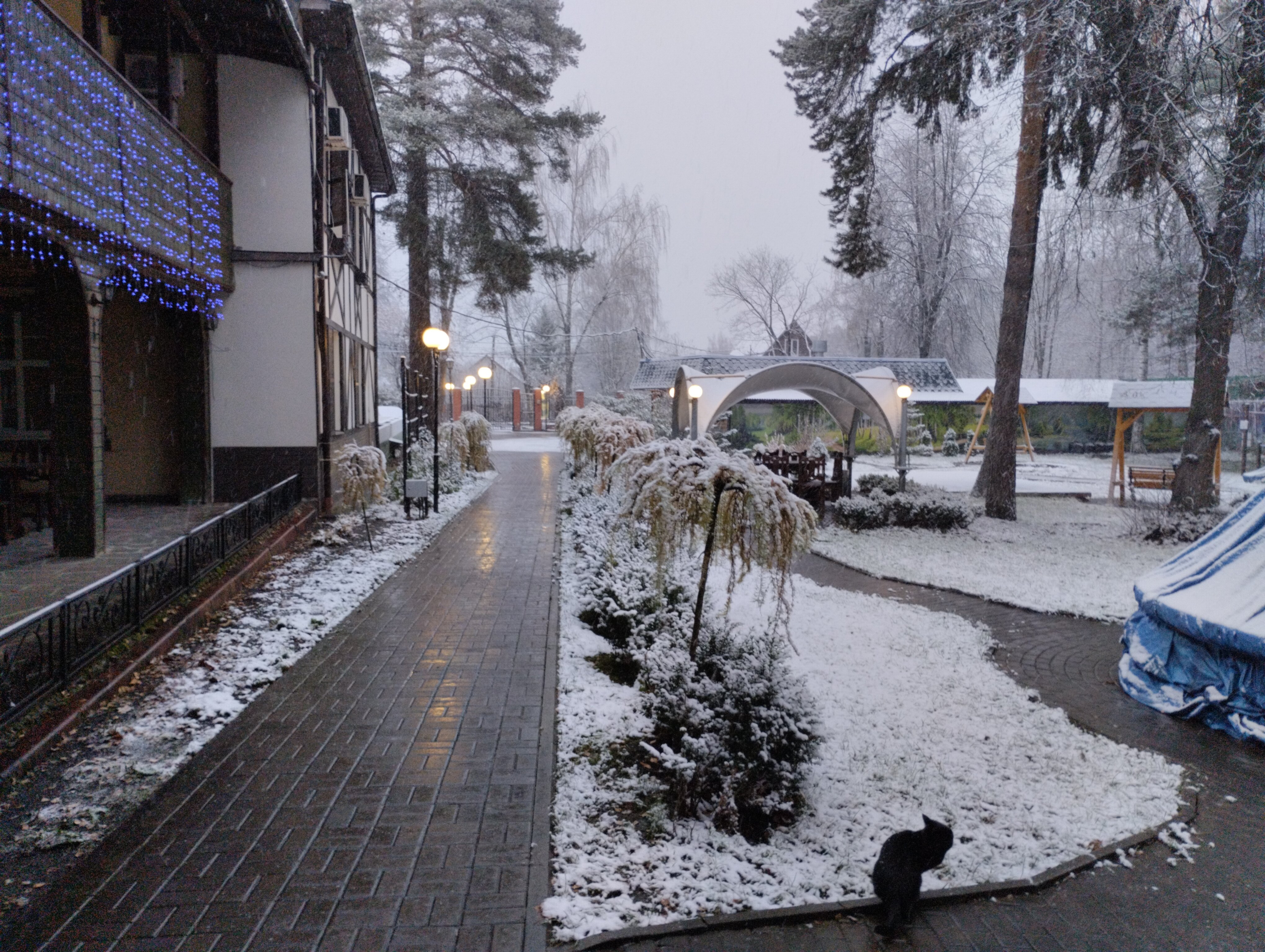 Фото Арт-отель Пушкино