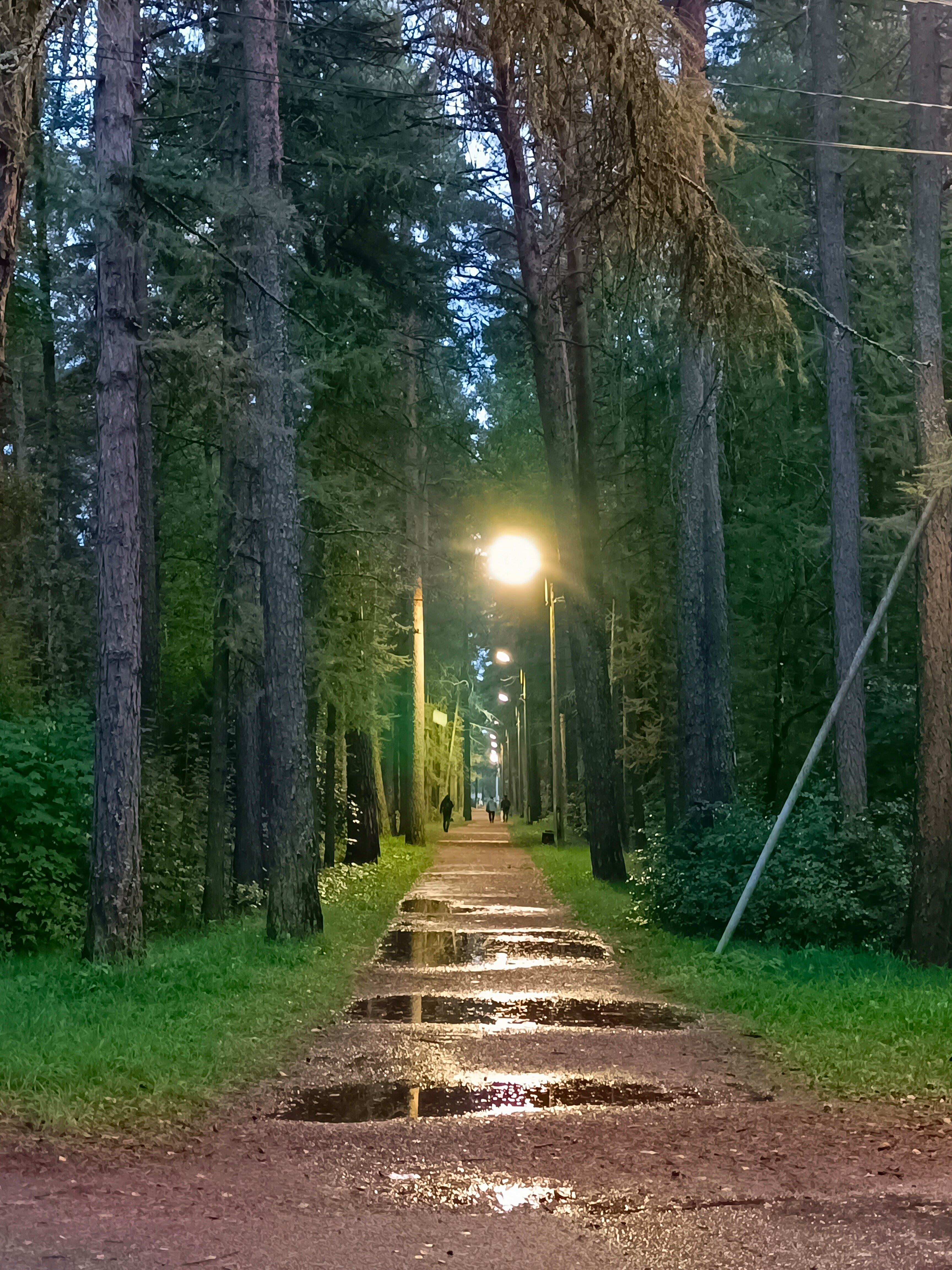 Фото Черничный Берег