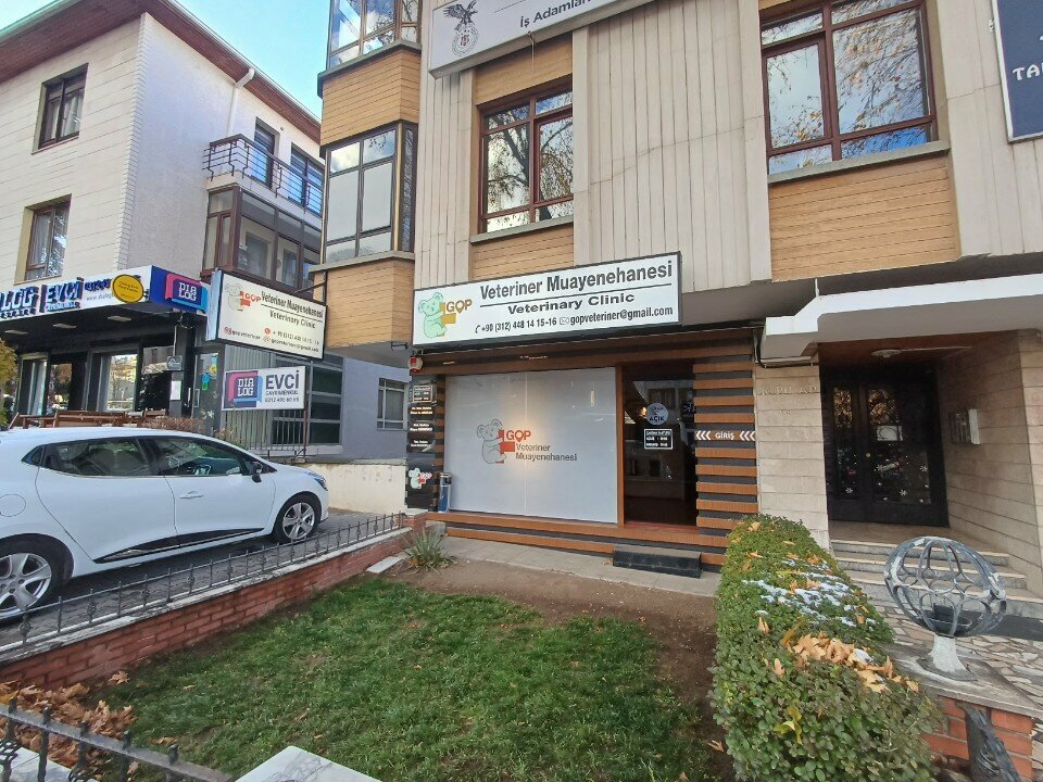 Veterinary clinic Gop Veterinary Clinic, Ankara, photo