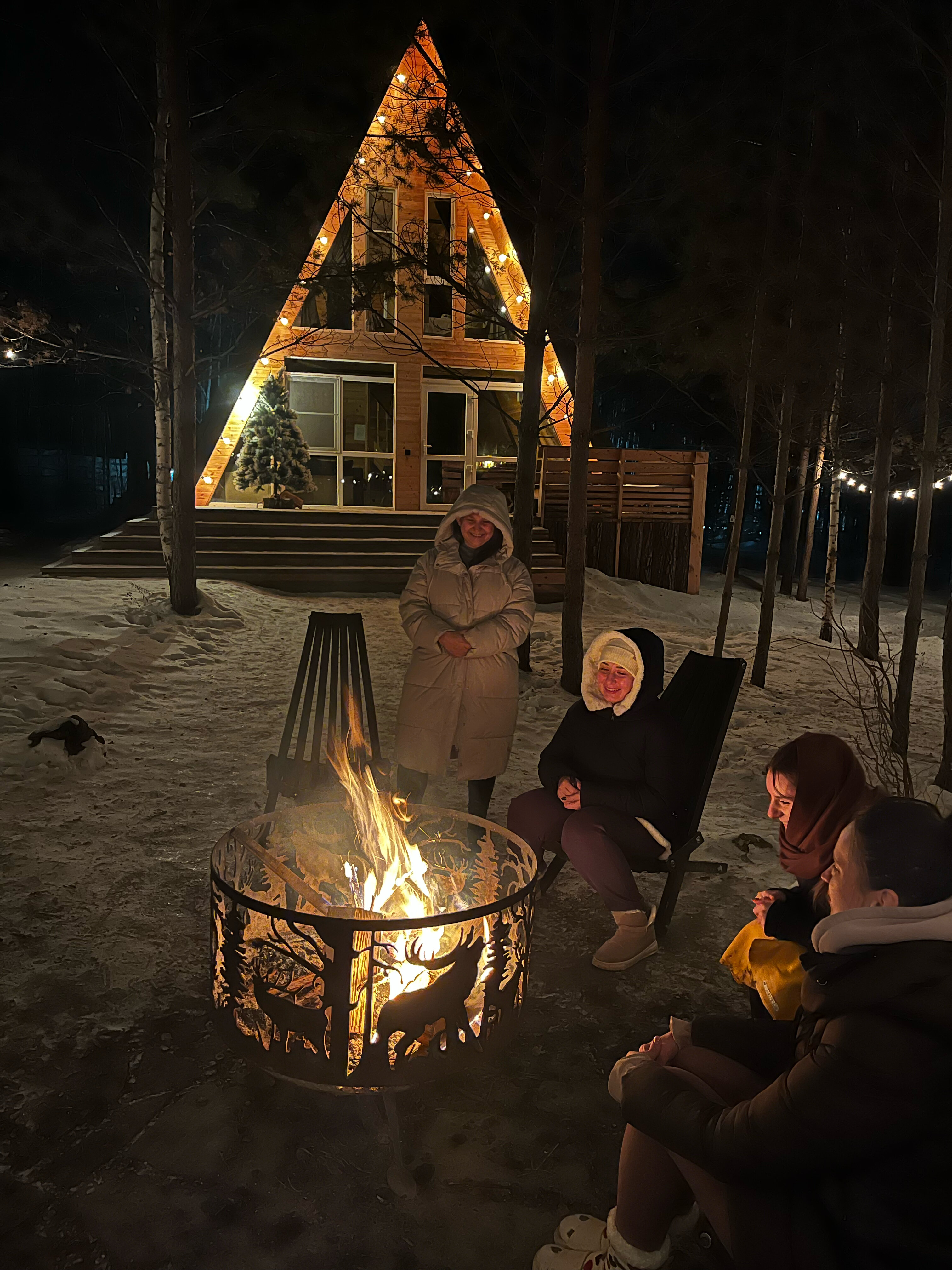 Фото Forest tale