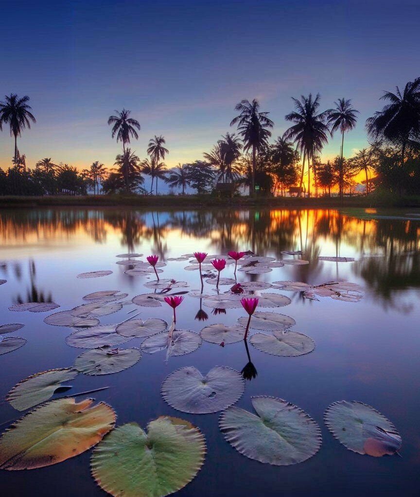 Mosque Molla Mosque, Mersin, photo