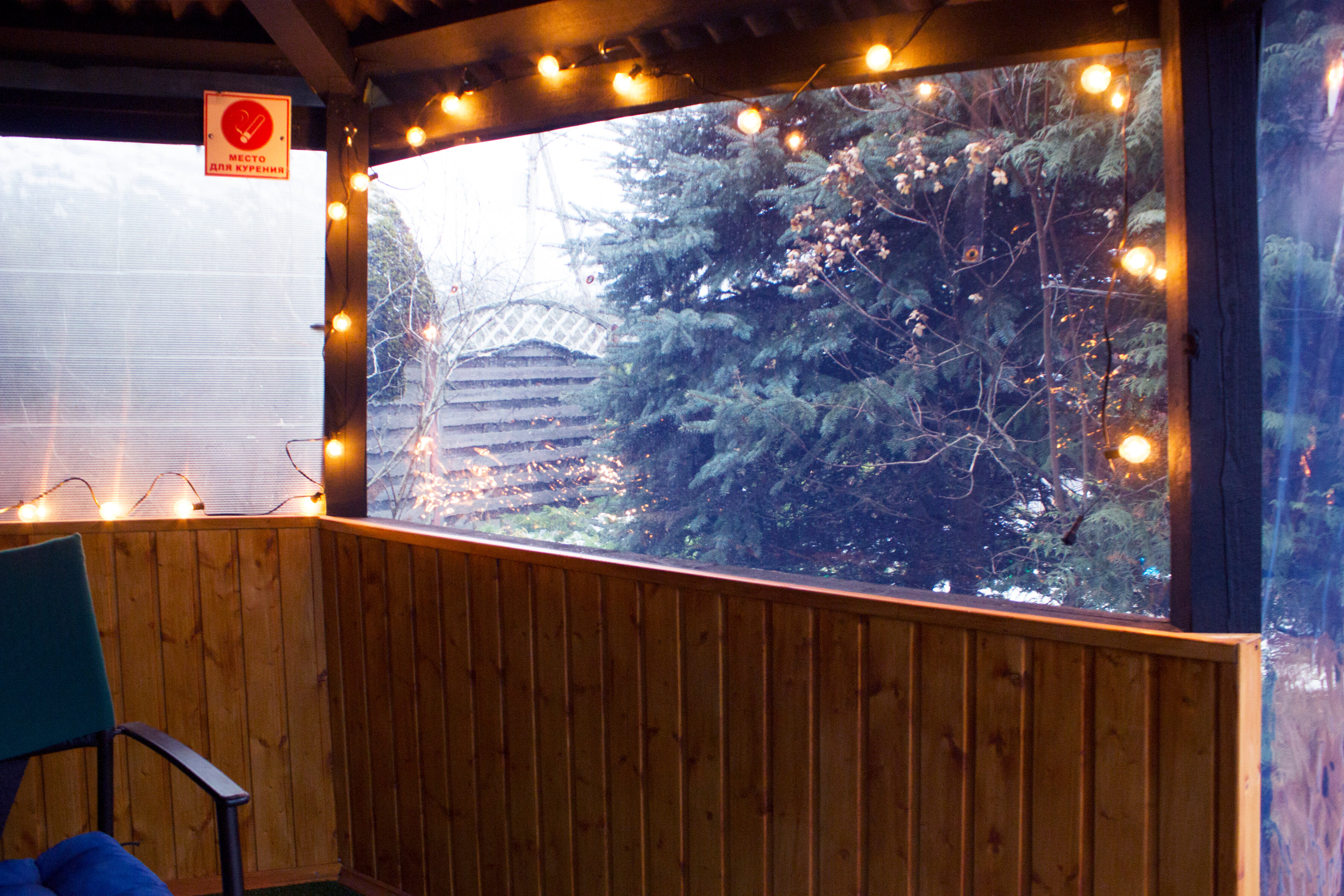 Фото Викинг