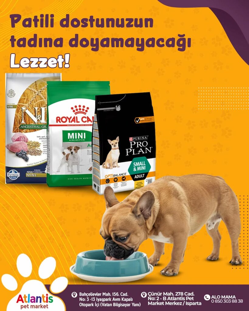 Pet shop Atlantis Pet, Isparta, photo