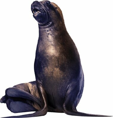 Security and alarm systems Detay Elektronik, Isparta, photo