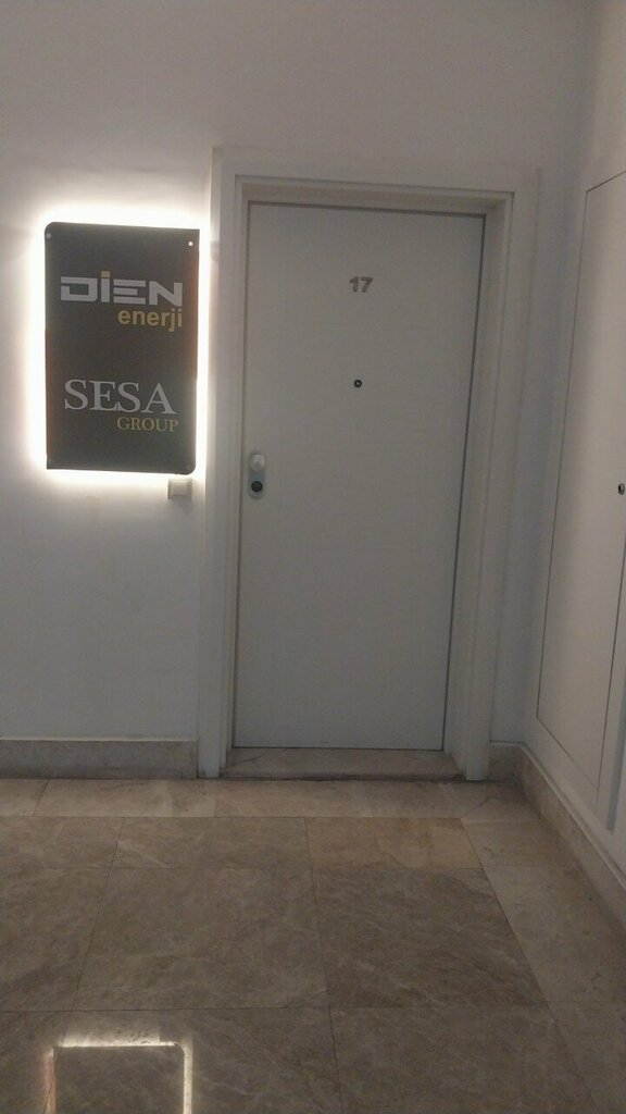 Foreign trade and foreign economic organizations Sesa Group, Ankara, photo