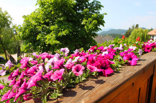 Фото Hotel Linde