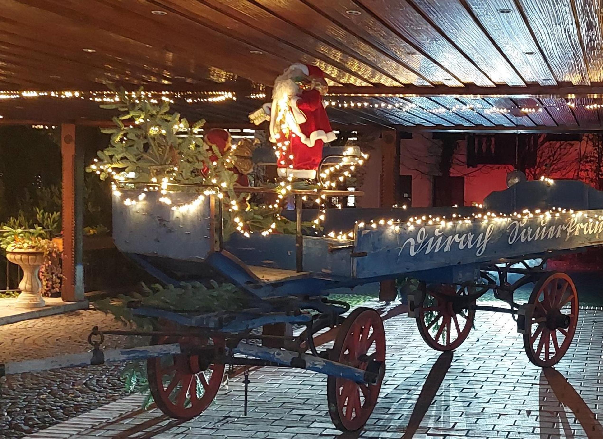 Фото 114749638181