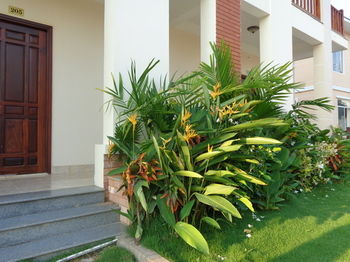 Фото Bach Duong Resort