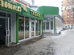 Табачная (ulitsa imeni K.V. Blagodarova, 1А), estanco