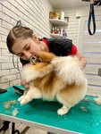 ГлаМур (Boytsov 9th Divizii Street, 185Ж), pet salon