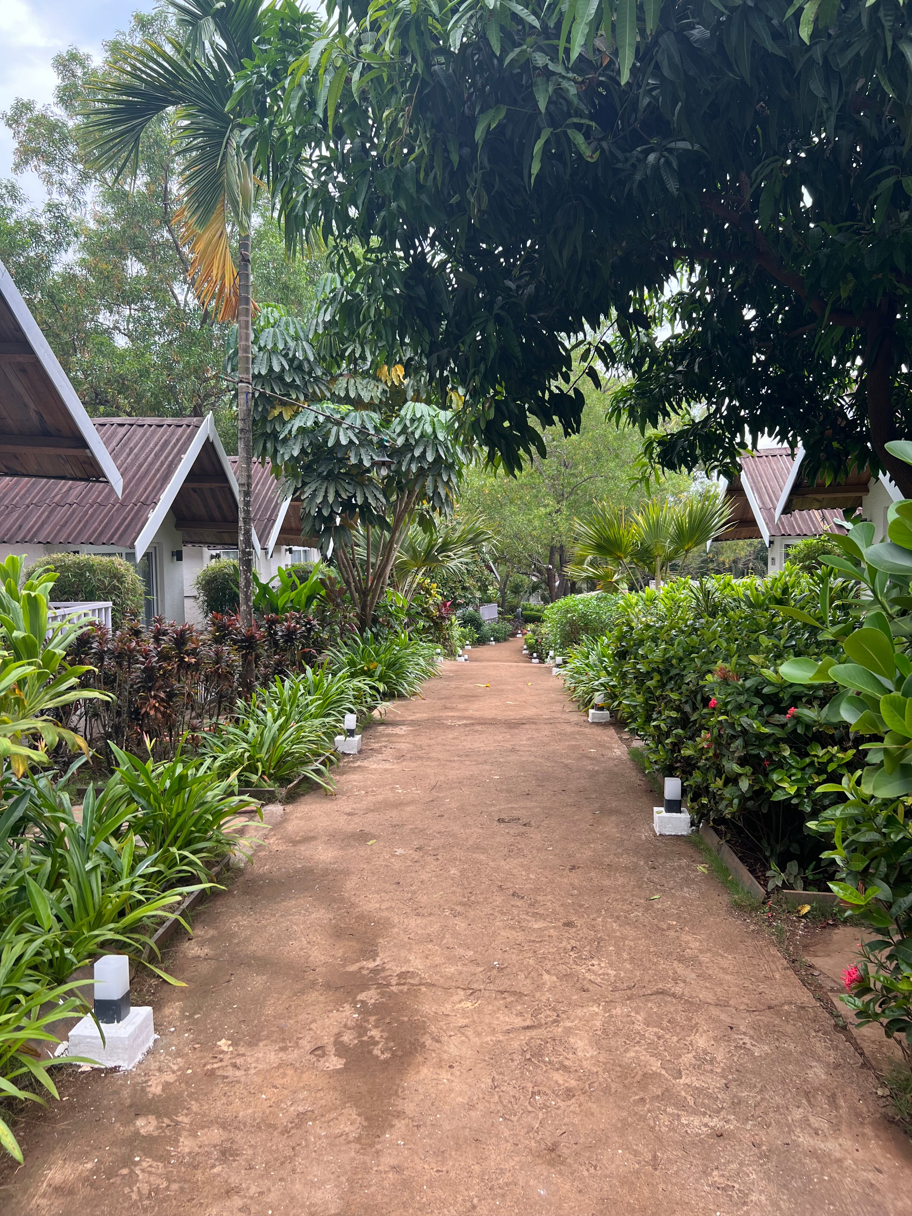 Фото White Woods Resort and Spa