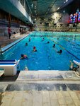 Akvastudiya Mariny Ilinoy (Kominterna Street, 25) ، حمام السباحة