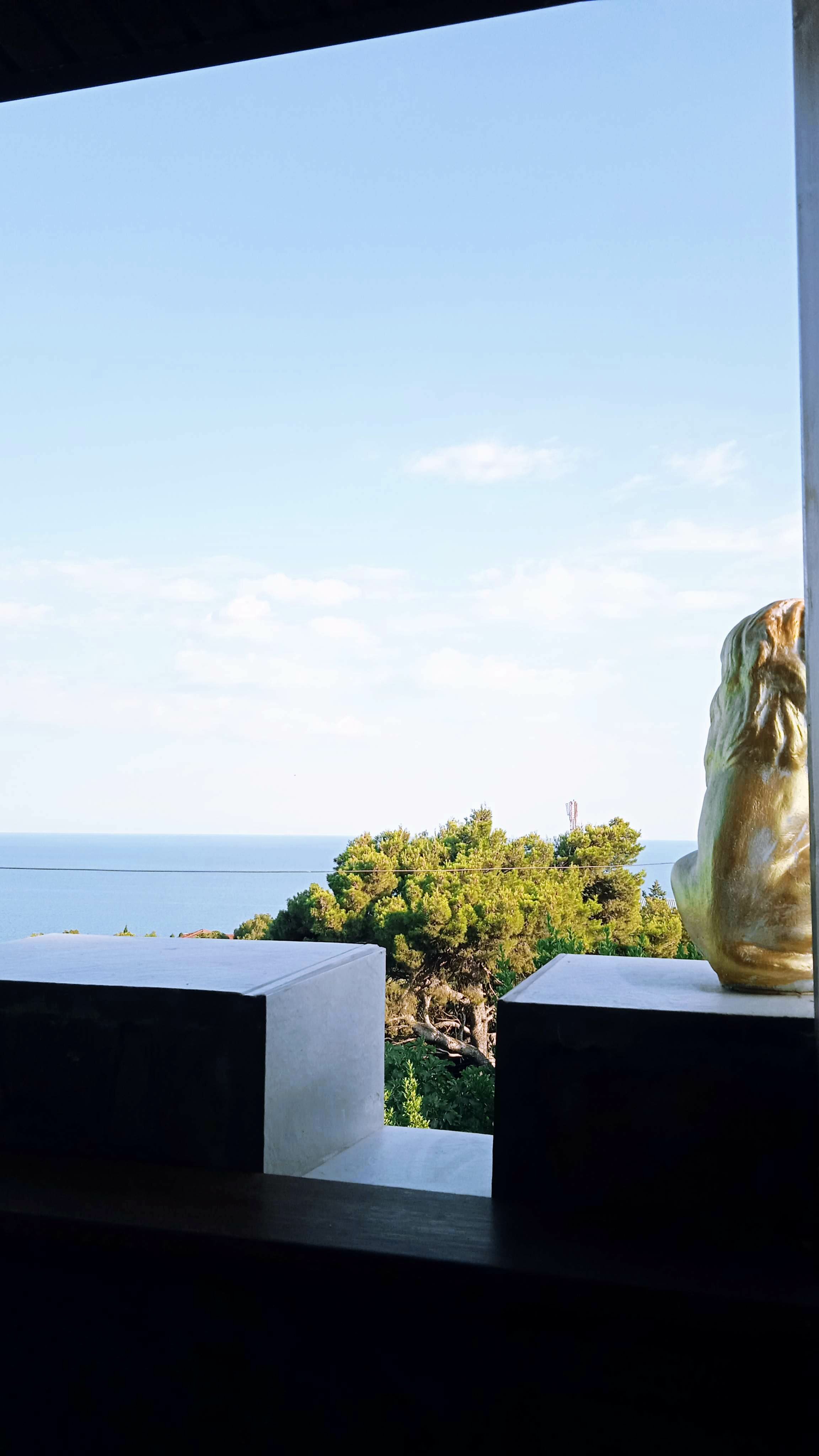 Фото Отдых в Кацивели