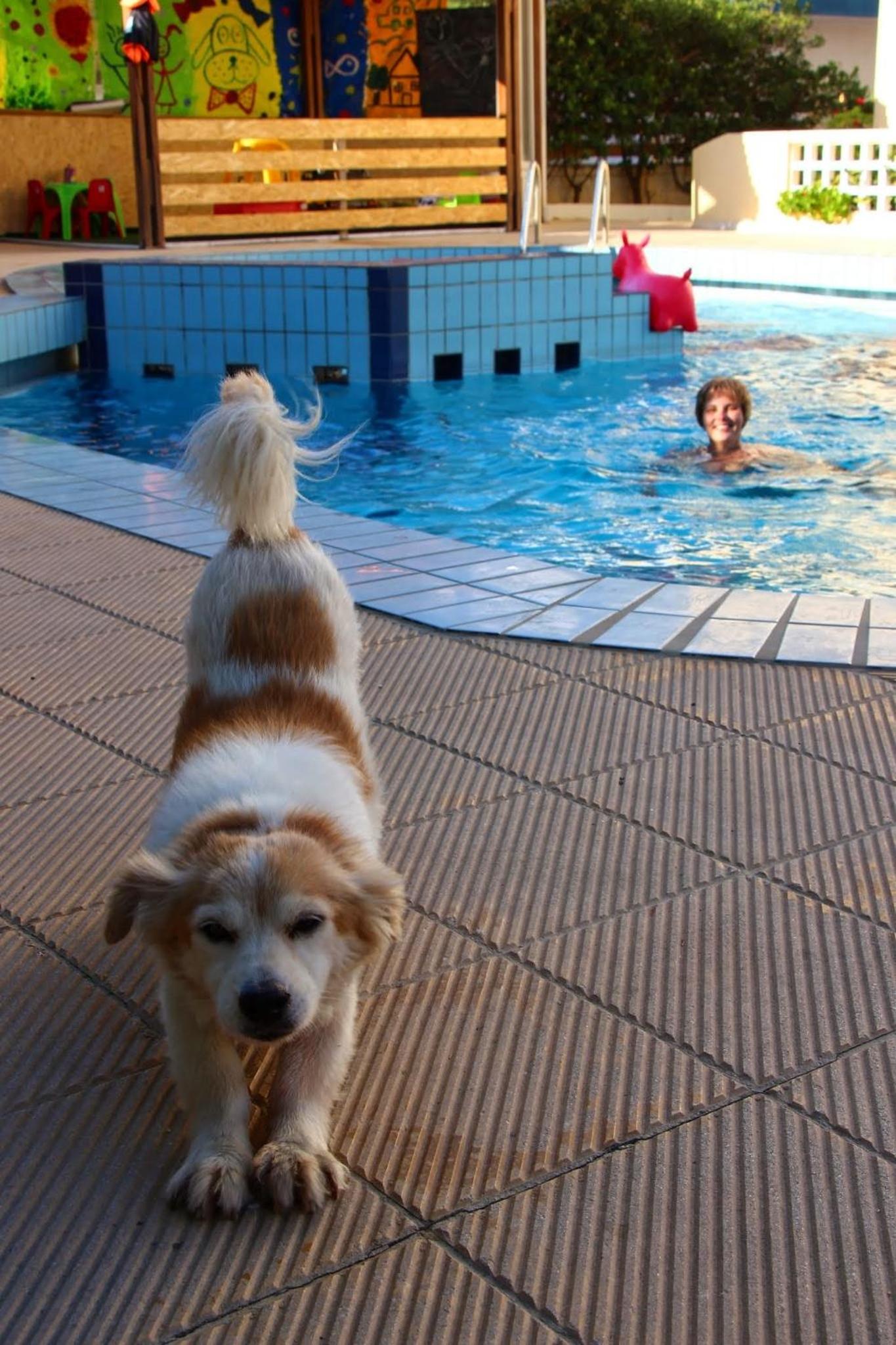 Фото Albatross Studios & Apartments