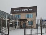 Shelby (Abay Street, 289) ، حانة، بار