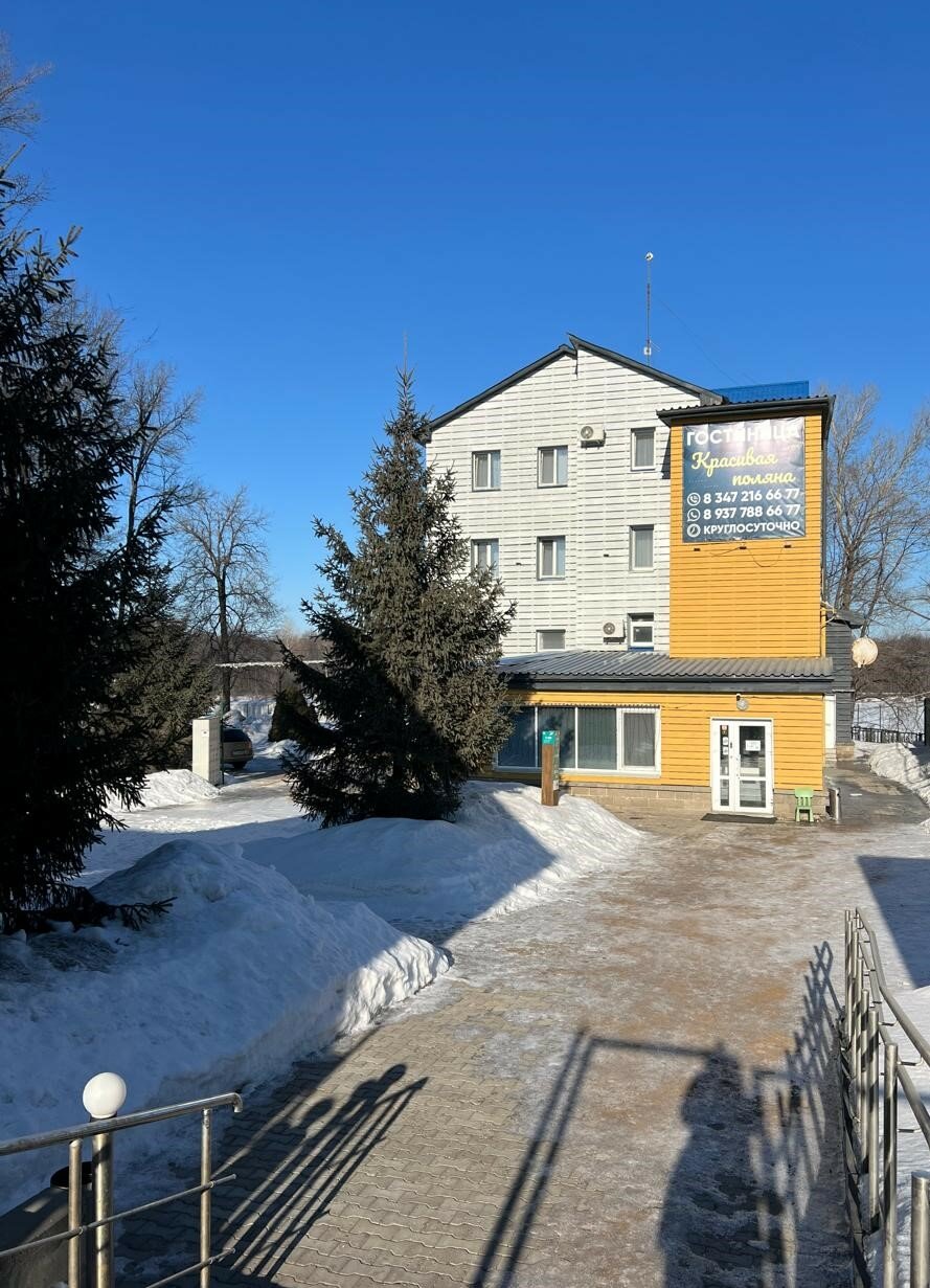 Фото Красивая поляна